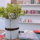 쇼핑은테라피 이미지