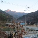 금계슈퍼민박 이미지