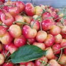 시후농장 이미지