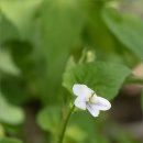 봉화1길 이미지