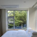 글리제977 이미지