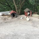 월문낚시터 이미지