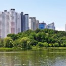 호수공원 이미지