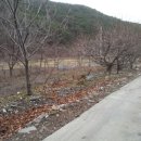 부여(외산)-10 이미지