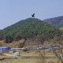 왕자수견태실비 (태봉석비) 이미지