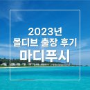 백신경매식집하장 | [몰디브 리조트 출장 후기] 환상적인 라군, 세련된 객실의 마디푸시 Madifushi Private Island