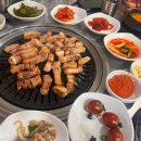 꼭지네 티스토리