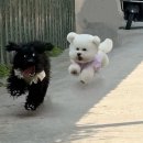 나자바바라 이미지