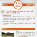 팔공산 둘레길 2구간 이미지