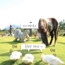 라이온힐펜션 이미지