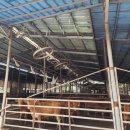 부자축산 이미지