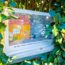 미로월드 이미지