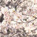 지곡유원지 이미지