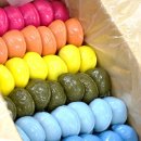 아진동물병원 이미지