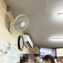 완식당 티스토리