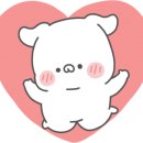 하나시카 네이버블로그