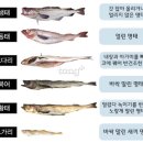 명태이야기 - 서구 보듬7로 9 | 명태이야기