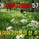 정원의 조성과 관리 이미지