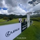 위너골프타운 | 열정과 환호로 가득찼던 2024 렉서스 마스터즈 오너러리옵저버 갤러리 관람 후기