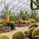 일출랜드식물원 이미지