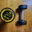 5kg 덤벨 이미지