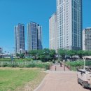 온천천 자전거대여소 옆 | 온천천 자전거라이딩 연제구 동래구 자전거 무료대여