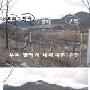 (주)청송 - 195 | (주)청송
