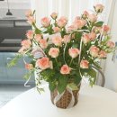 로즈플래닛 이미지