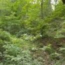 태성2리 이미지