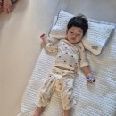 마마앤준 | 어린이집 땀띠 비상! 마마앤누누 26년 모찌곰 냉감 패드 커버 블루 (ft. 여름 낮잠이불 정착)
