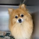 잠실준25시 동물병원 이미지