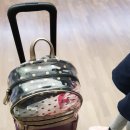 가나제주여행사 이미지