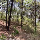 불로천약수터 이미지