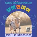 서울앤 동물병원 이미지