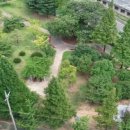 새들모텔 이미지