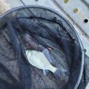 동막낚시터 | 〔일상〕 송탄평택 낚시터, 동막 저수지, 낚시터에서 인생 첫 낚시 후기