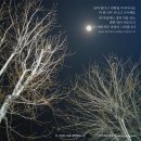 달이 떴다고 전화를 주시다니요 이미지