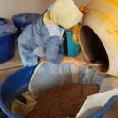 잉꼬농장 이미지