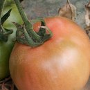 영민농장 이미지