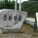 강원참숯