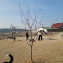 워킹애니멀스쿨 이미지