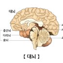 100세생활건강