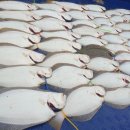 오천루어스쿨
