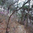 돌샘약수터 Daum카페