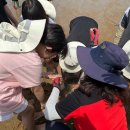 해양환경 이미지