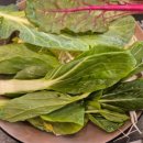 싱싱커피 이미지