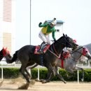 대승축산 이미지