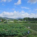 내동목장 이미지