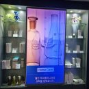 동성 | 대구 동성로 두피관리 웰킨 두피탈모센터 대구동성점 후기
