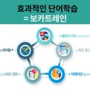 씨드영어